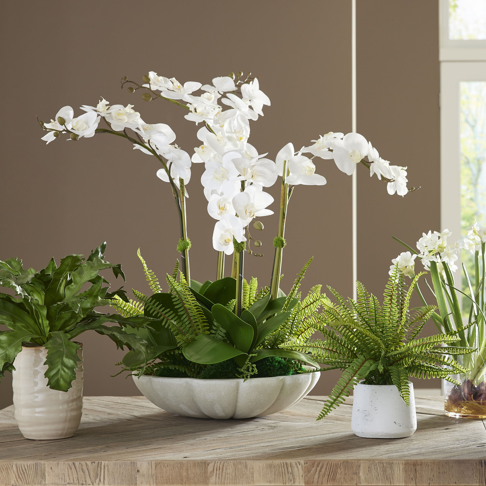 Flourish Orchid - Centerpiece - White