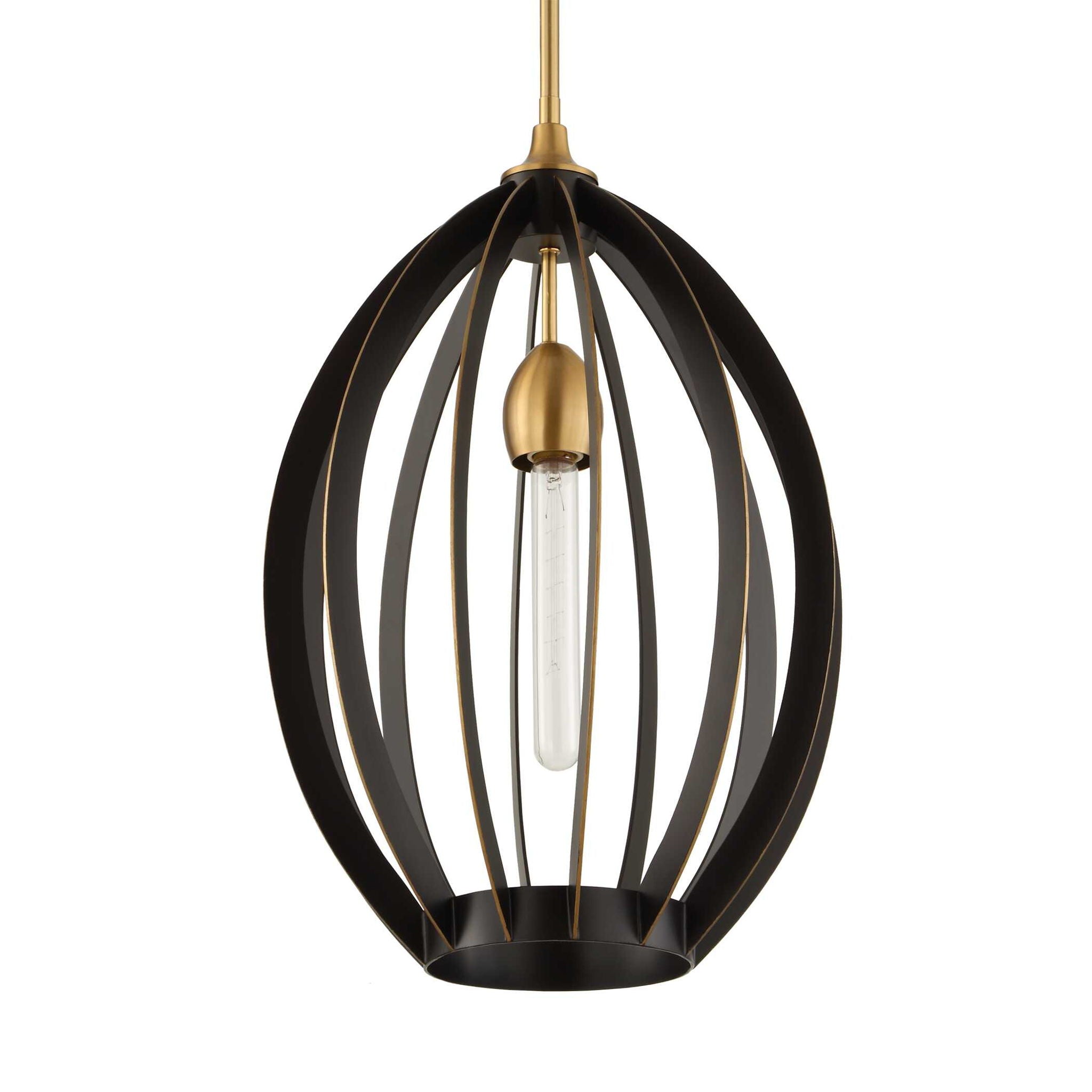 Darby - 1 Light Architectural Oval Pendant - Bronze / Black