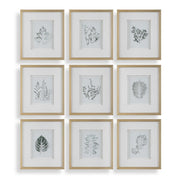 Nature's - Script Framed Botanical Prints (Set of 9) - Gold / Green / White