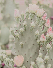 Blooms Abound III By Jennifer Rigsby - Gray