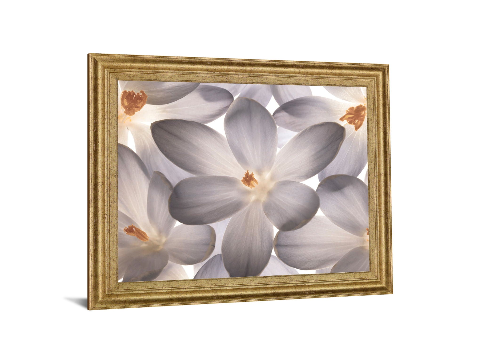 Whispering Blossom - 28" x 34" Framed Wall Art - Gray