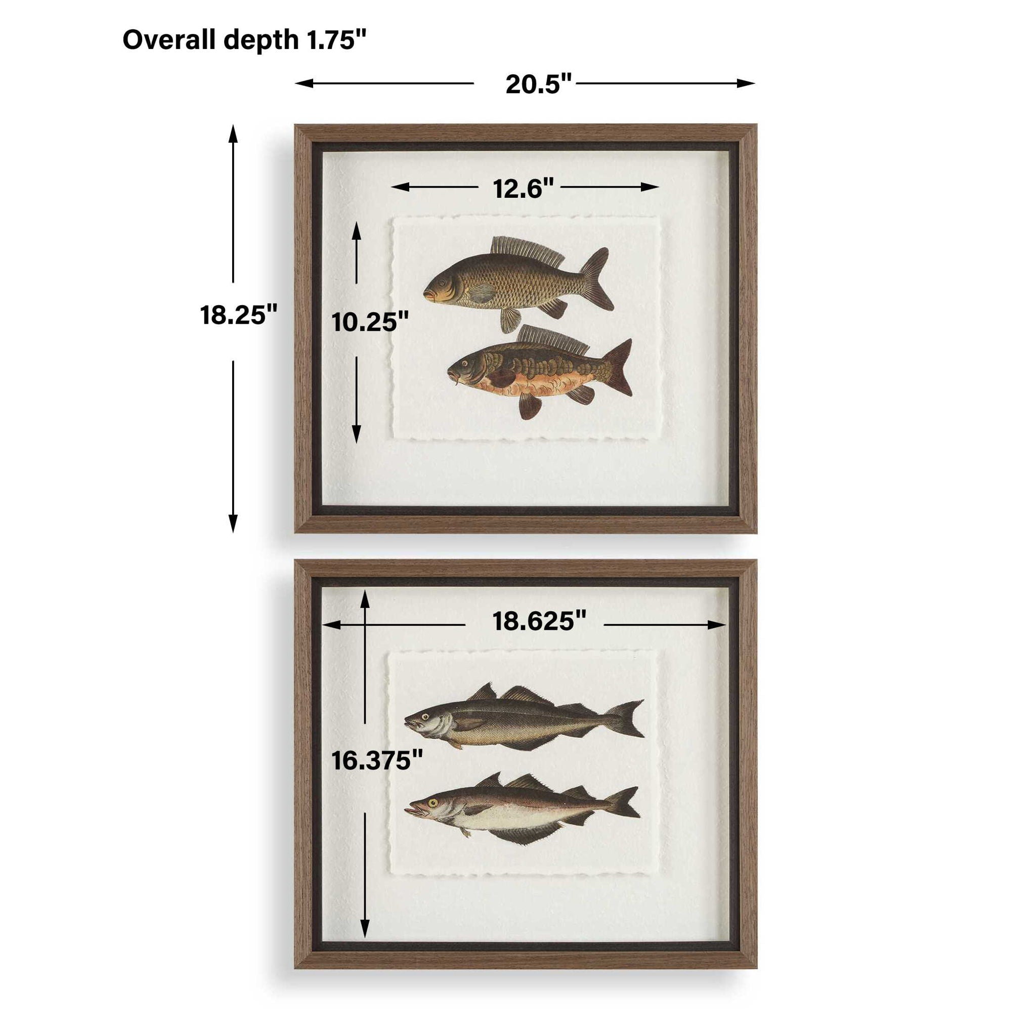 The Catch - Framed Fish Prints (Set of 2) - Black / Brown / Gray / Green / Orange / Woodtone
