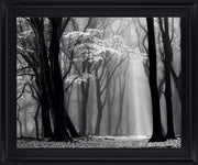 Silent Grove Shadows - 28" x 34" Framed Wall Art - Dark Gray