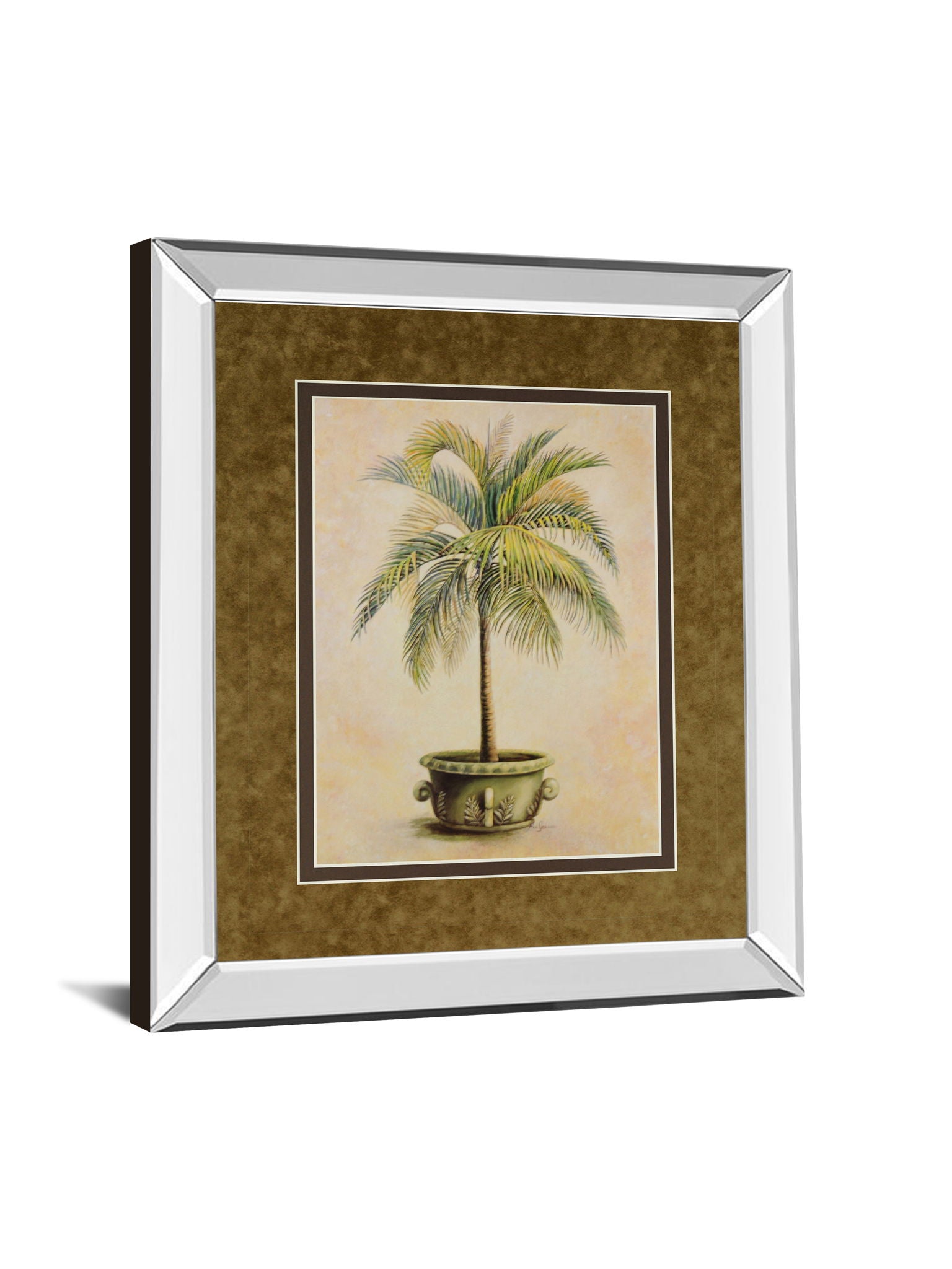 Potted Palm Il - Mirror Framed Print Wall Art - Light Brown