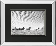 Horse Run III By PHBurchett - Gray