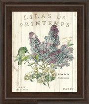 Lilas De Printemps By Sue Schlabach - Beige