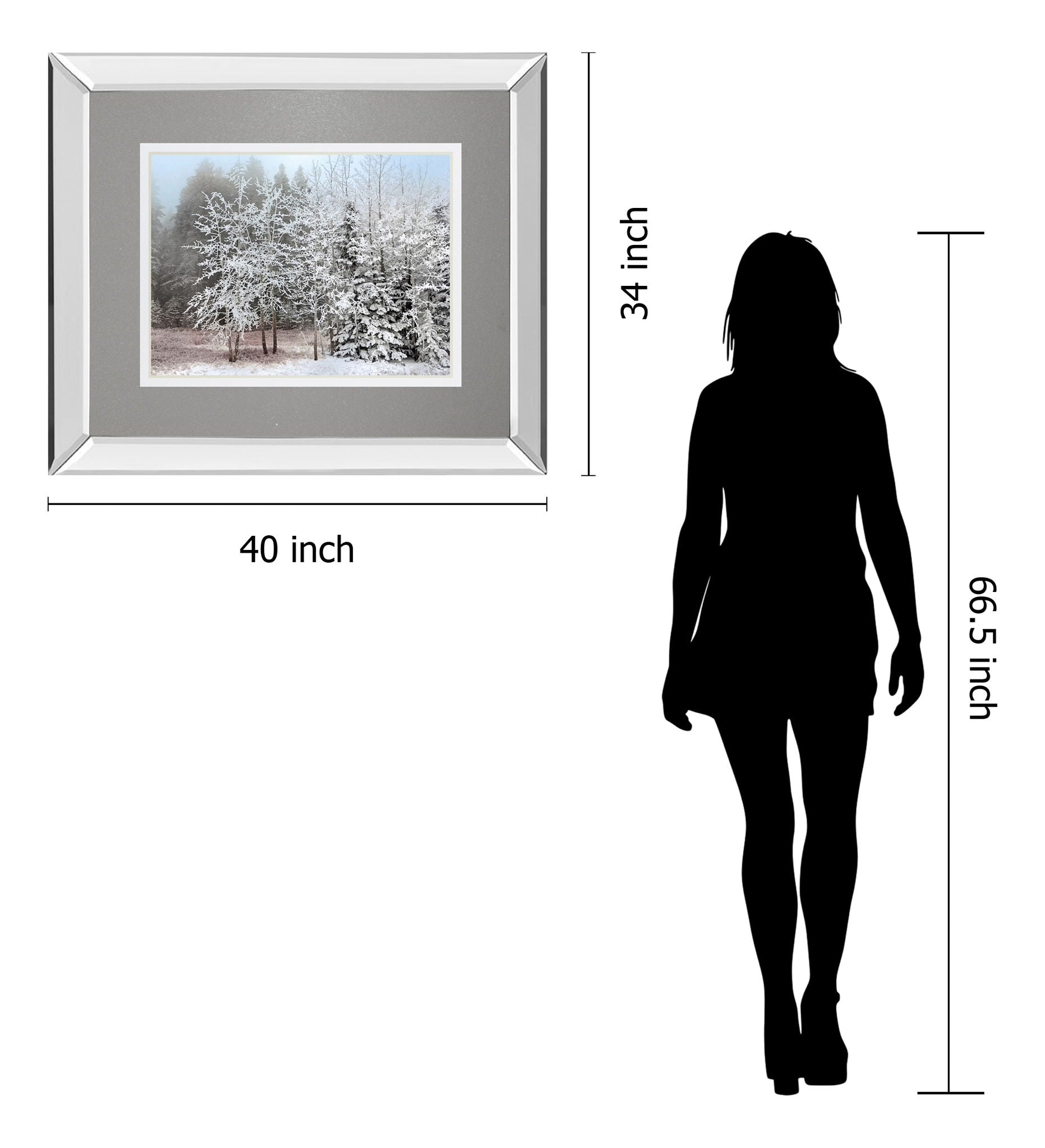 Frosty Morning By Mike Jone - Mirror Framed Print Wall Art - Gray
