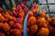 Autumn Bend Tempered Glass - Orange / Red