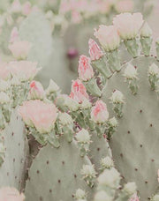 Blooms Abound I By Jennifer Rigsby (Small) - Gray