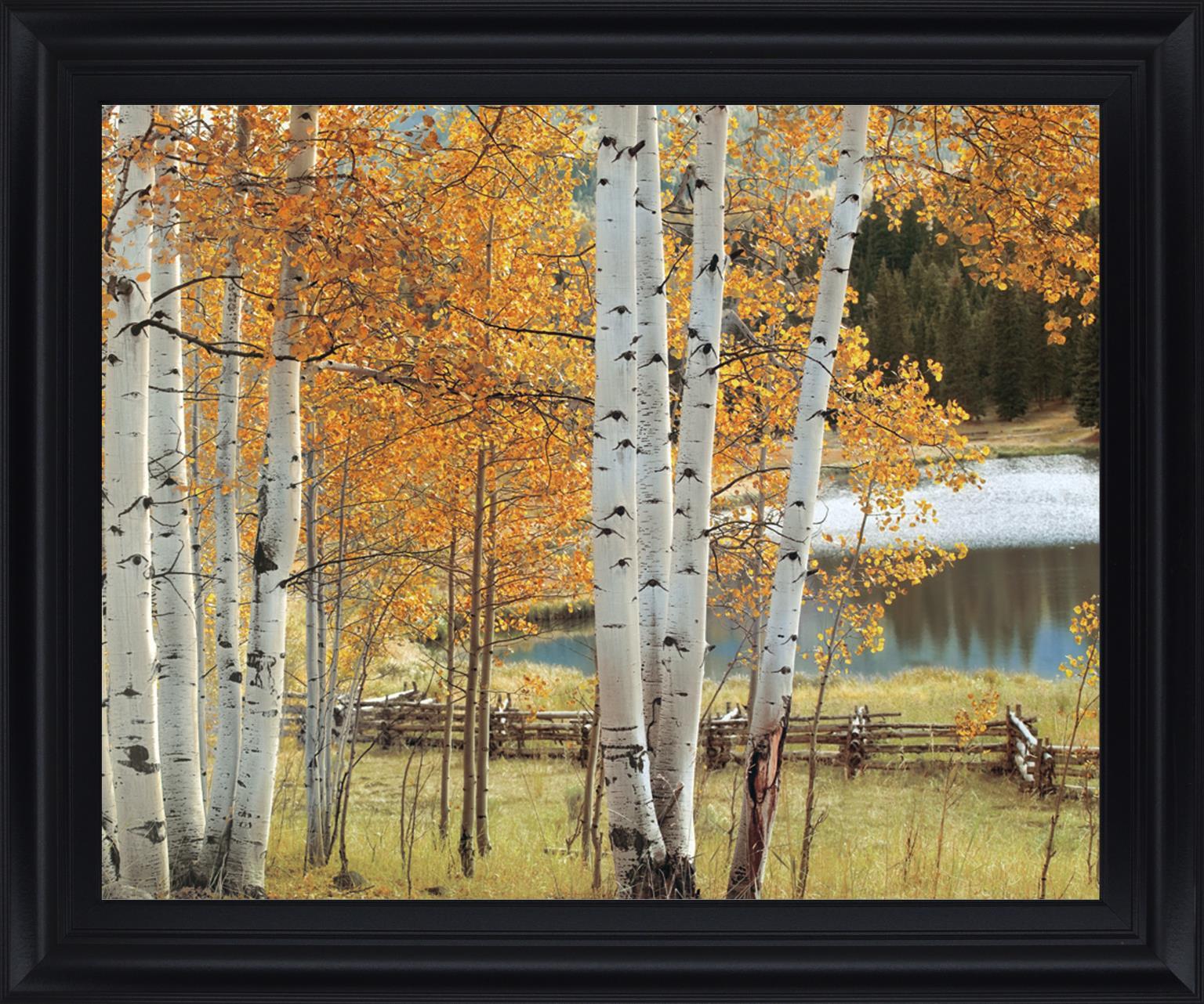 Golden Grove Serenity - 28" x 34" Framed Wall Art - Orange