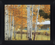 Golden Grove Serenity - 28" x 34" Framed Wall Art - Orange