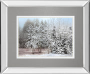 Frosty Morning By Mike Jone - Mirror Framed Print Wall Art - Gray