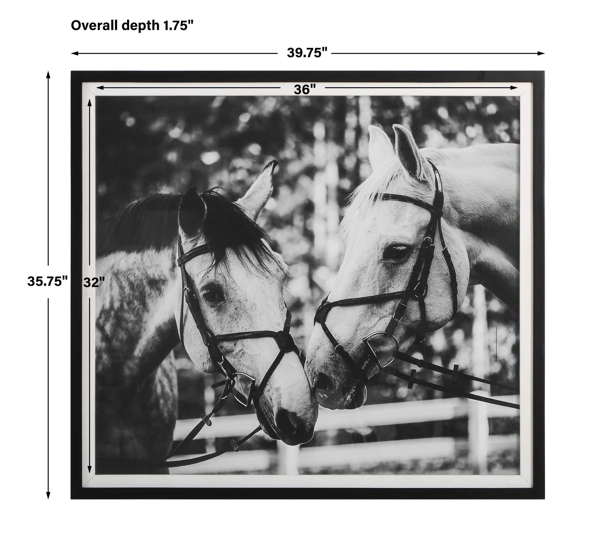 Apple Of My Eye - Framed Print - Black
