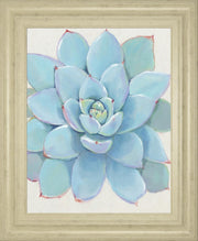 22x26 Pastel Succulent I By Tim OToole - Light Blue