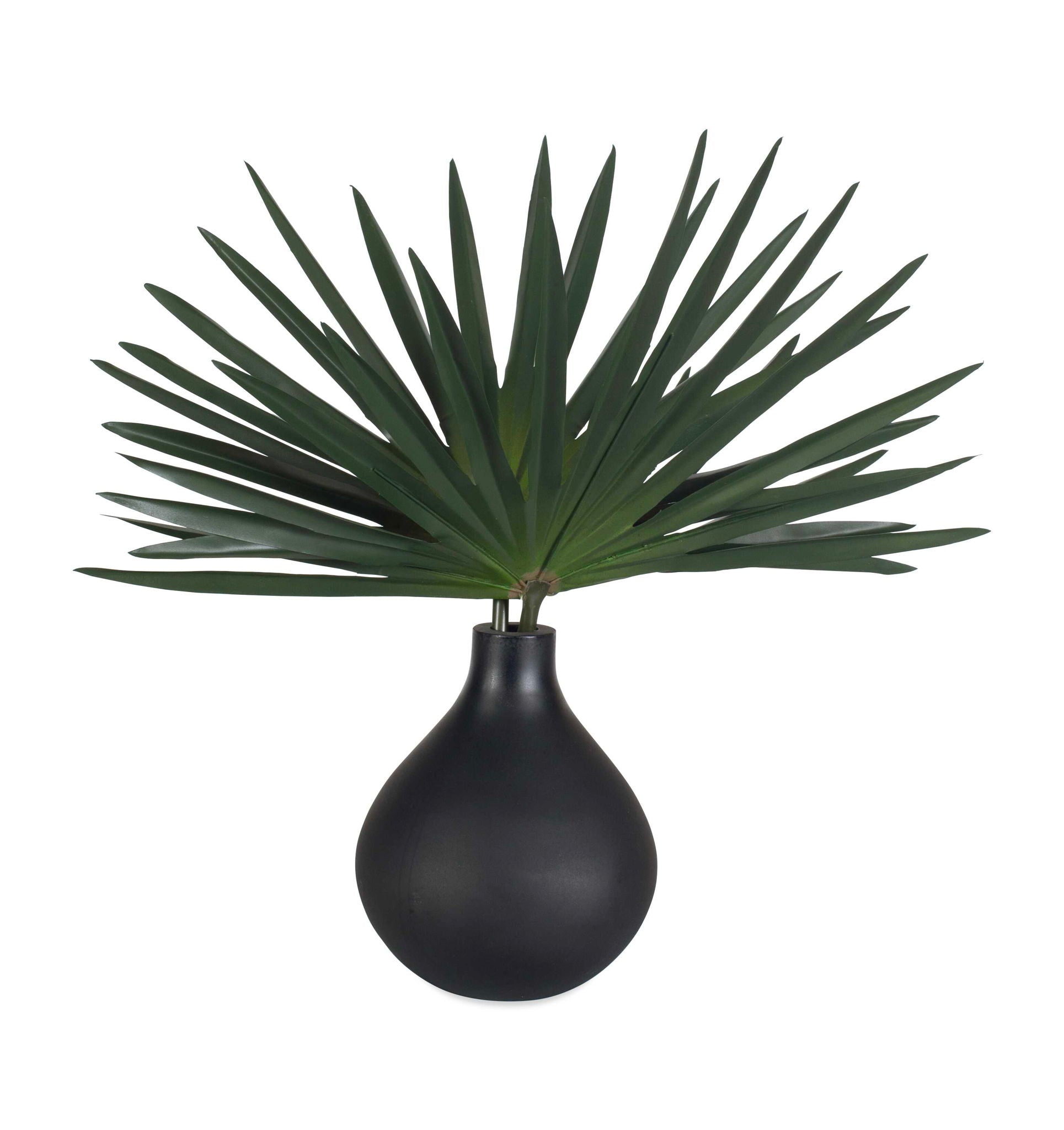 Axis Palm - Accent & Vase - Black / Green