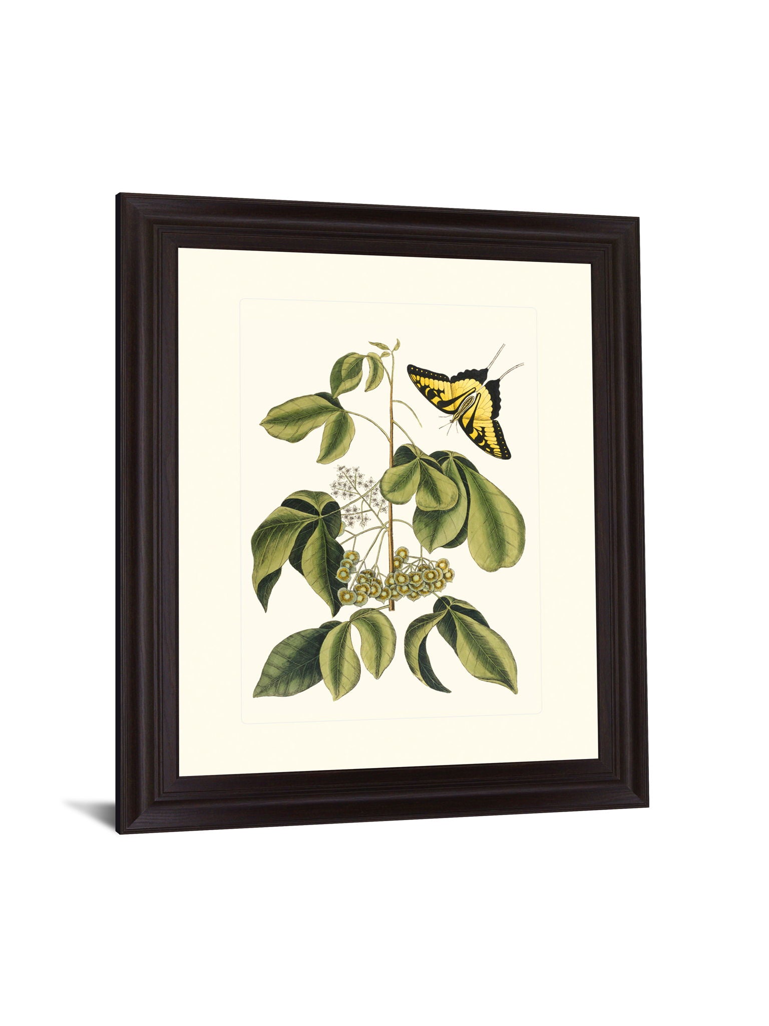 Butterfly Grove - 28" x 34" Framed Wall Art - Green