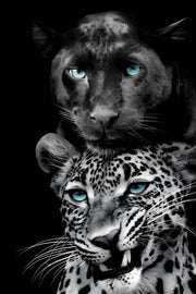 Azure Gaze Duo - 40" x 60" Framed Wall Art - Black