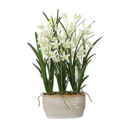 Ariana Orchid - Planter - Gray