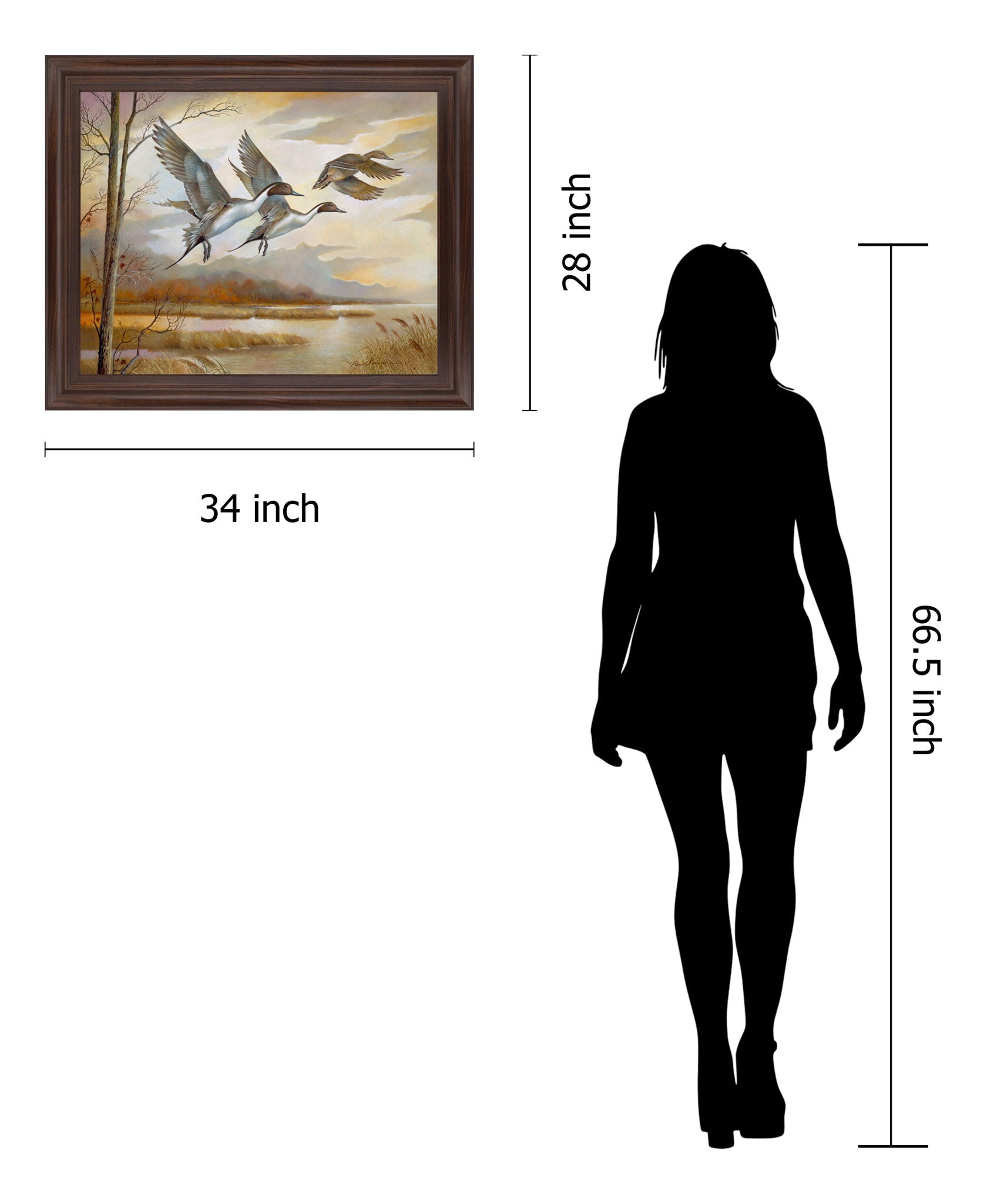 Soaring Pintails - 28" x 34" Framed Wall Art - Beige