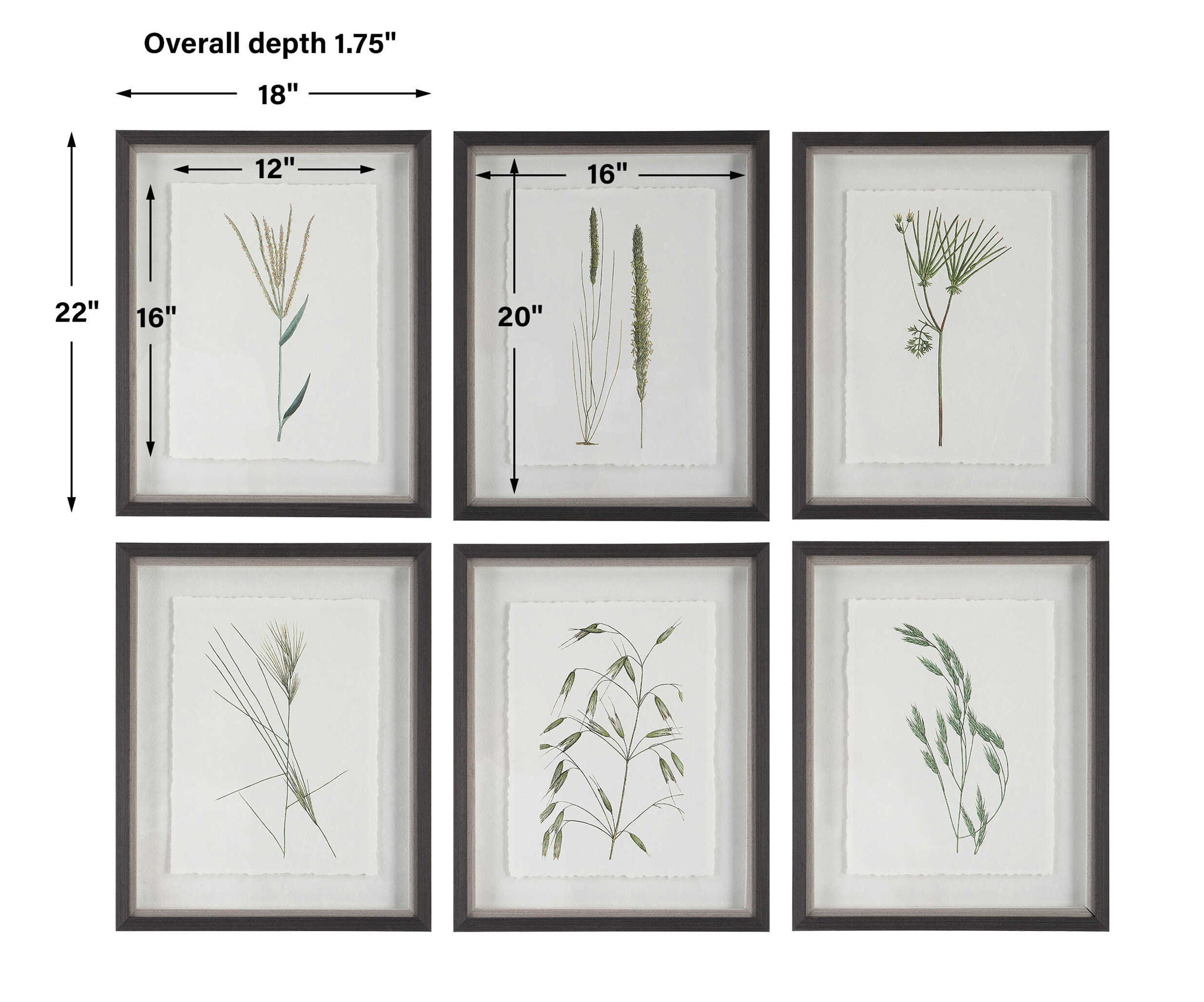 Forest - Finds Framed Prints (Set of 6)