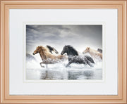 34x40 Horse Run V By PHBurchett - Gray