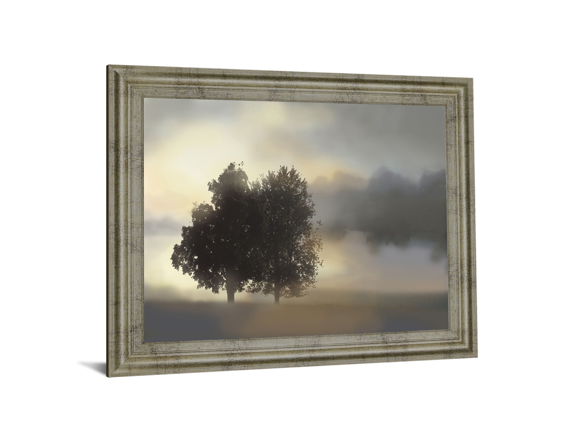 Tranquil Dawn - 28" x 34" Framed Wall Art - Gray