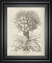 22x26 Fresco Crown Imperial I By Vision Studio - Beige