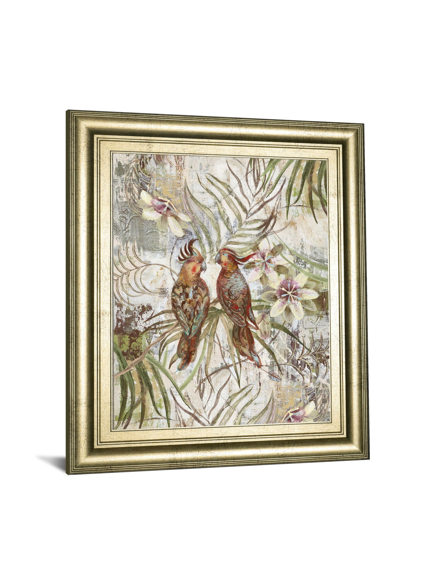 Eye To Eye By Sofi Taylor - Framed Print Wall Art - Green