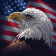 Small - American Bald Eagle By Collin Bogle - Dark Brown