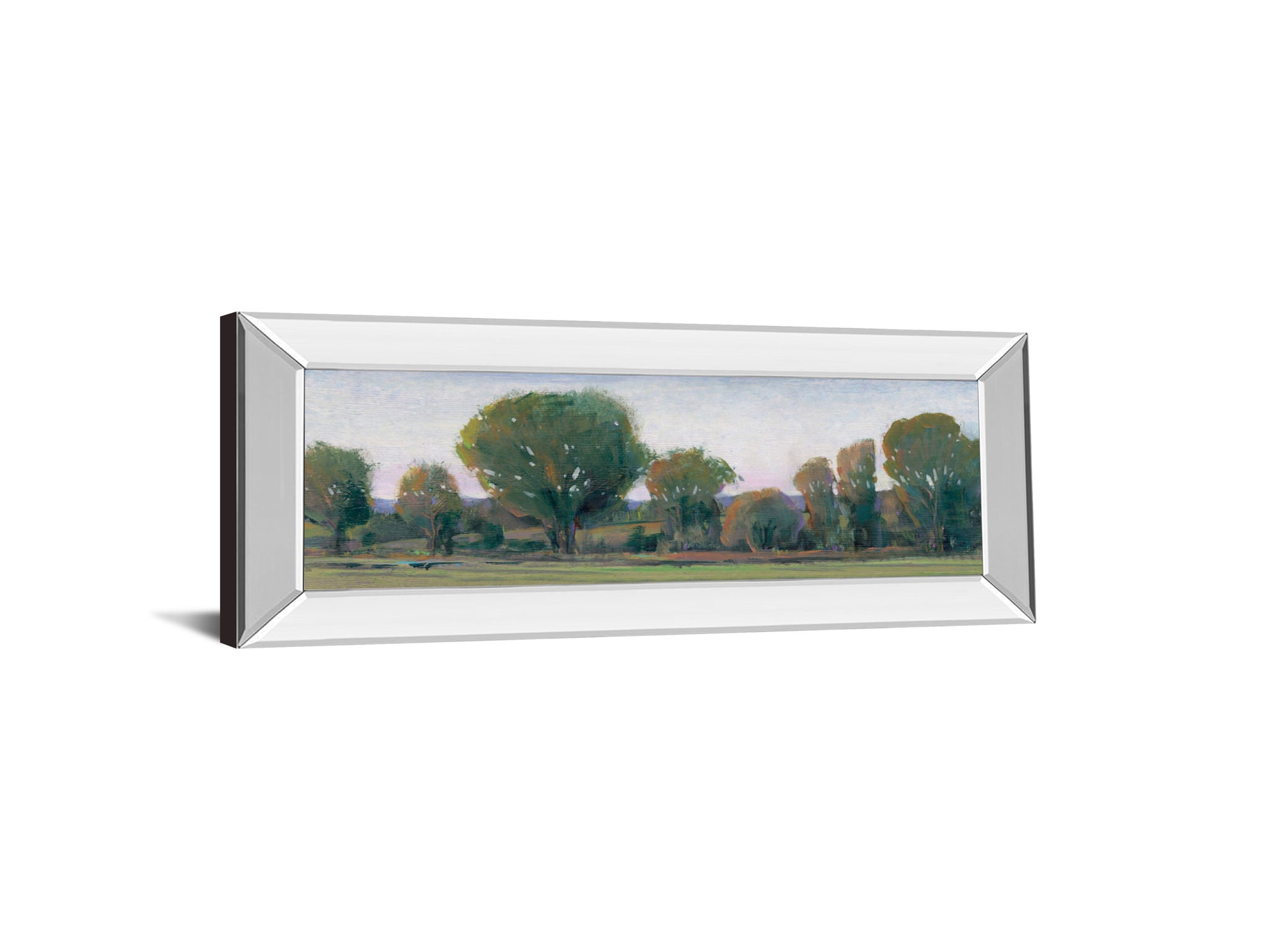 Panoramic Treeline Il By Tim Otoole - Mirror Framed Print Wall Art - Dark Green