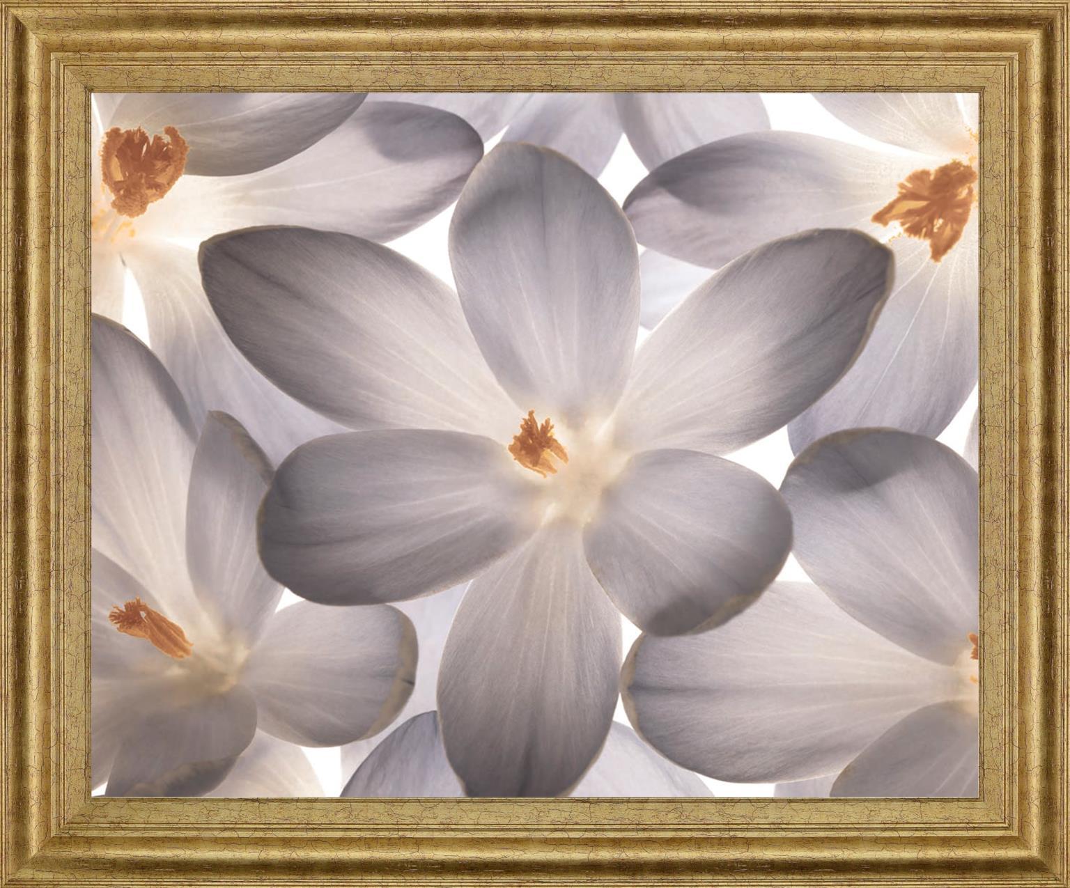 Whispering Blossom - 28" x 34" Framed Wall Art - Gray