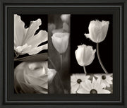 Summer Garden Il By Dennis Frates - Framed Print Wall Art - Dark Gray