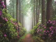 Pop Of Pink By Martin Podt Photography (Small) - Green