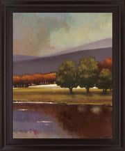 Woodland Reflections - 28" x 34" Framed Wall Art - Dark Brown