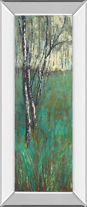 Nature Companion I By Solis - Mirror Framed Print Wall Art - Green
