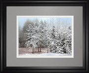 Frosty Morning By Mike Jone - Framed Print Wall Art - Gray
