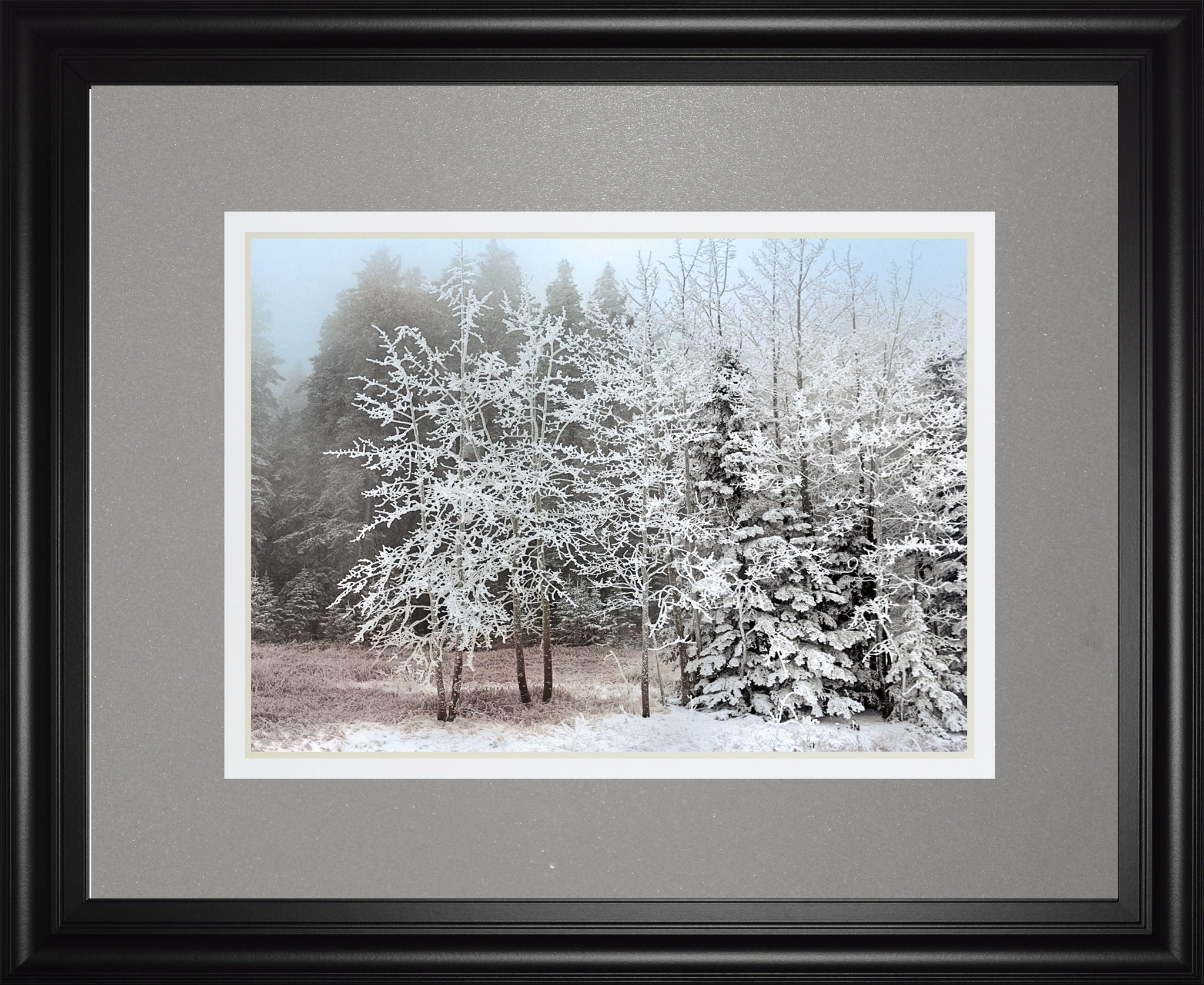 Frosty Morning By Mike Jone - Framed Print Wall Art - Gray