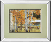 Birch Beauty By Mike Jones - Mirror Framed Print Wall Art - Light Brown