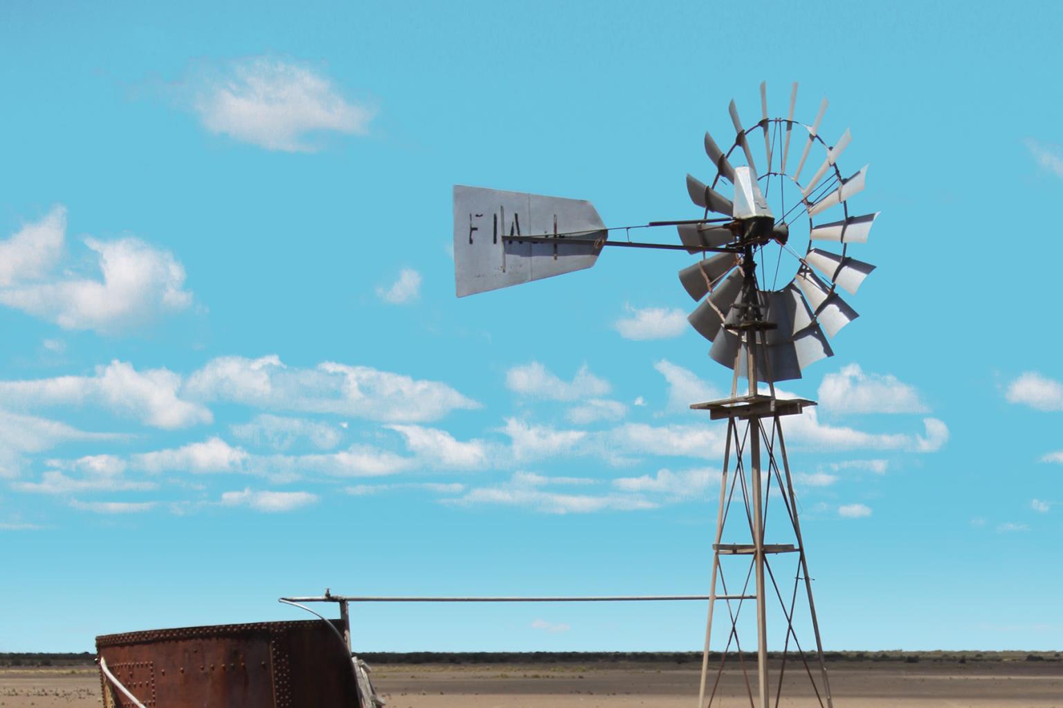 Windmill In The Field By Anna Coppel (Small) - Light Blue