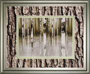 Fern Creek By Susan Jill Double Matted - Framed Wall Art - Light Brown