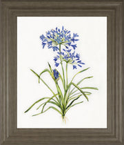 22x26 Lively Botanical I By Sally Swatland - White