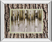Fern Creek By Susan Jill Double Matted - Mirrored Framed Wall Art - Light Brown