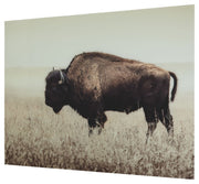Brutus - Wall Art - Sepia