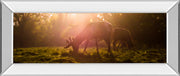 Morning Haze By Joe Reynolds - Photo Print Wall Art - Dark Brown