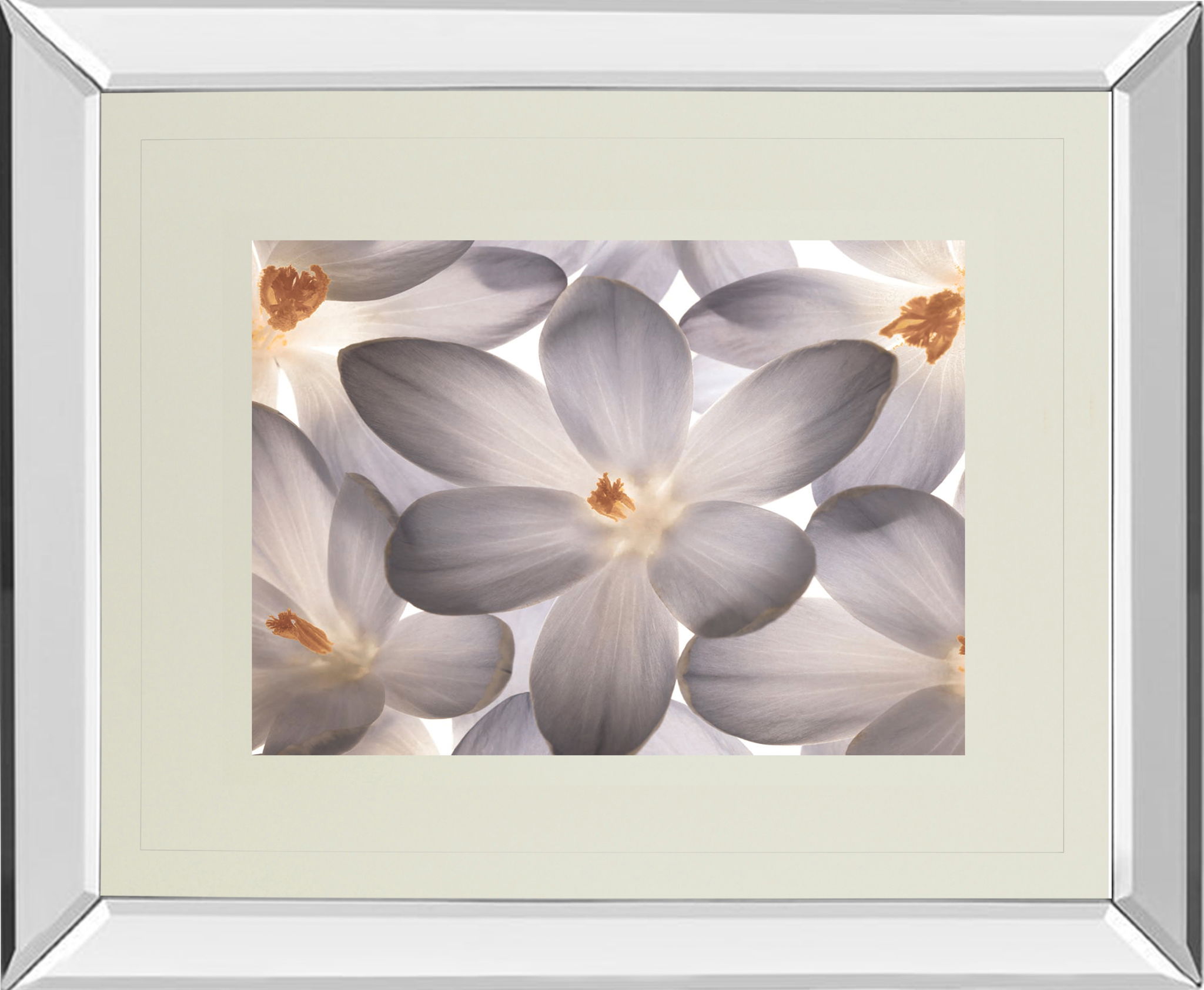 Petal Perfect By Assaf Frank - Mirror Framed Print Wall Art - Beige