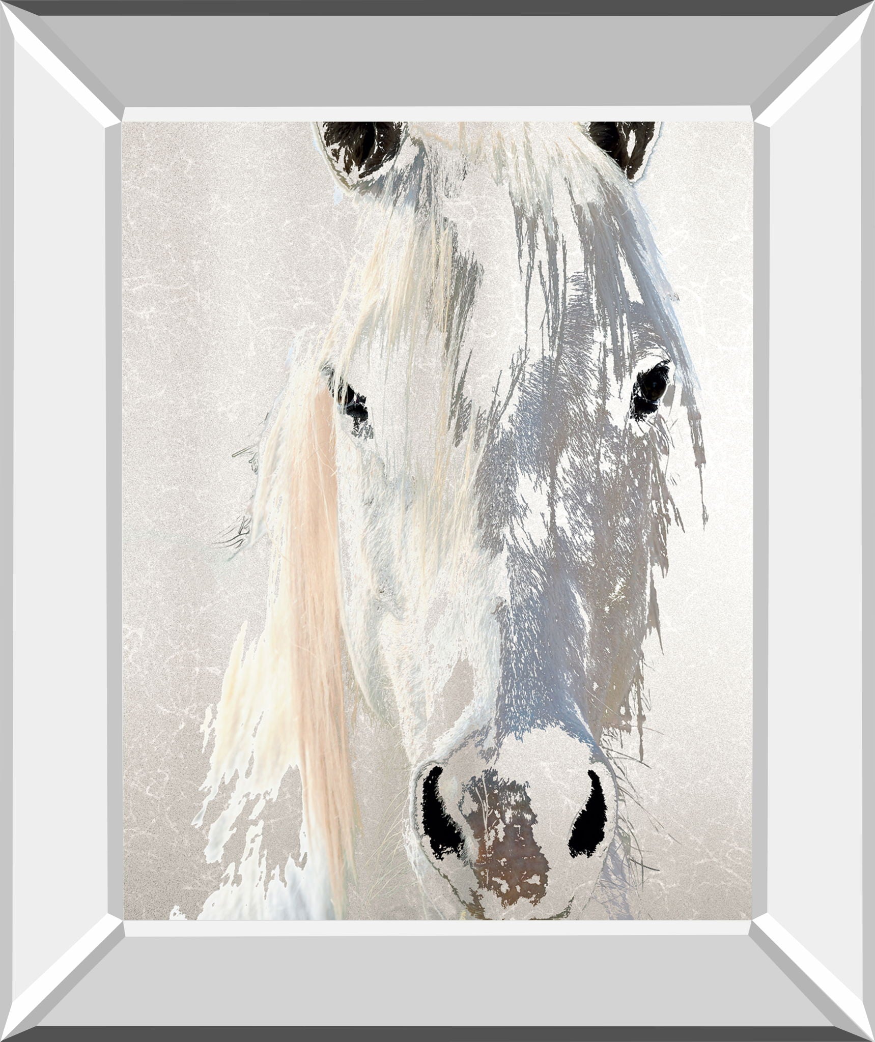 Sage By Marvin Pelkey - Mirror Framed Print Wall Art - Gray
