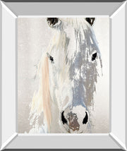 Sage By Marvin Pelkey - Mirror Framed Print Wall Art - Gray