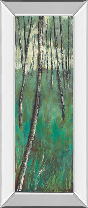 Nature Companion Il By Solis - Mirror Framed Print Wall Art - Green