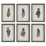 Birds Of A Feather - Framed Prints (Set of 6)
