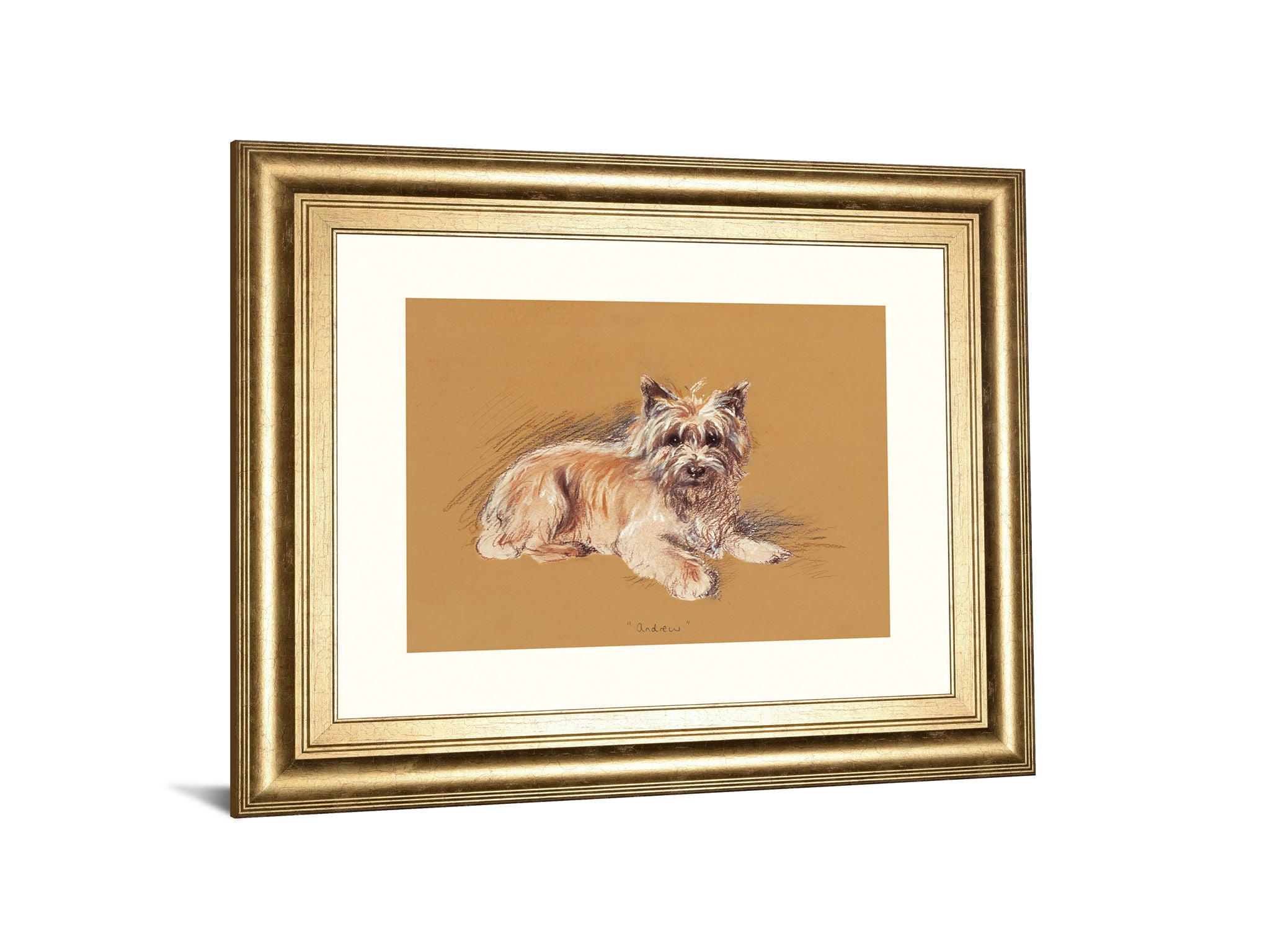 Andrew By Mac - Framed Print Wall Art - Beige